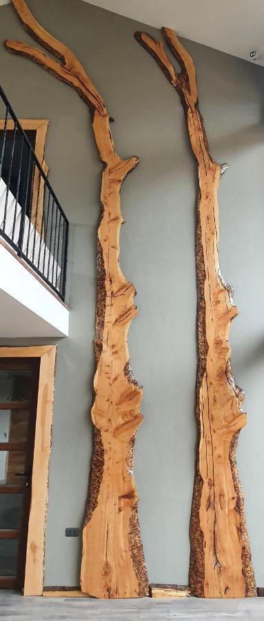 טורס דל פיינה Morrena Lodge מראה חיצוני תמונה